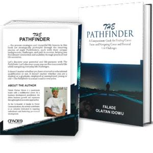 The Pathfinder: A Compassionate Guide for Finding Career Focus and Navigating Career and Personal Life Challenges - ebook