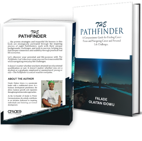 The Pathfinder: A Compassionate Guide for Finding Career Focus and Navigating Career and Personal Life Challenges - ebook